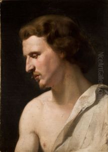Academic Study - Young Man