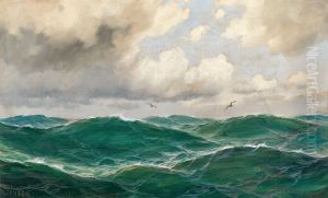 A seascape with seagulls