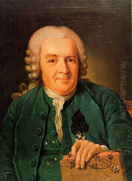 Portrait of Carl von Linne (Carolus Linnaeus) - view 1