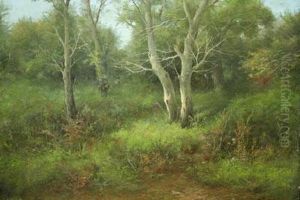 Sottobosco by Francesco Capuano