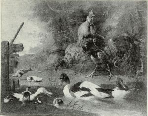 Ducks and a Cock