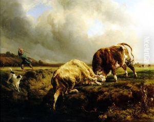 A Bull Fight
