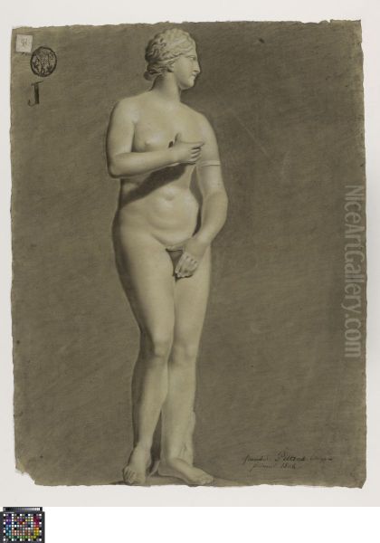 Medici Venus - view 1
