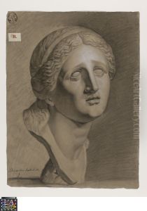 bust of Niobe by Bruno Van Hollebeke