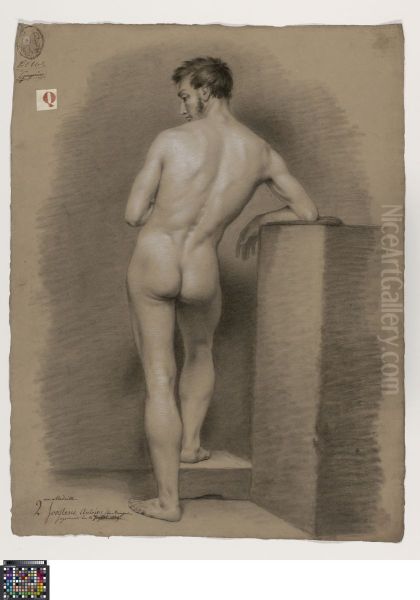 standing male nude, seen from behind - view 1
