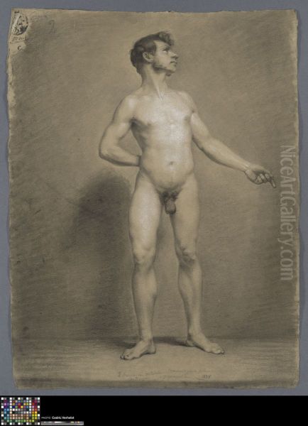 standing male nude - view 1