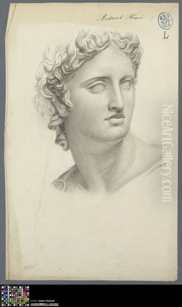 head of Apollo Belvedere - view 1