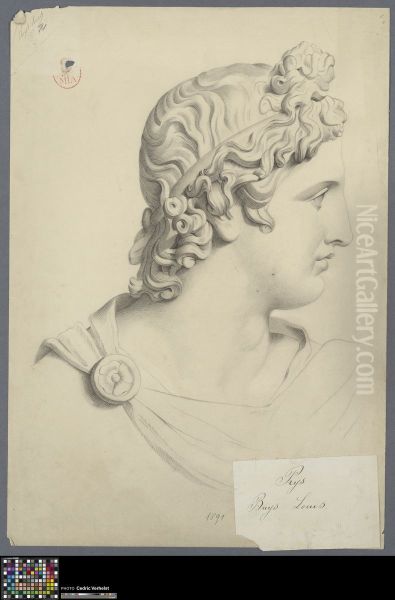 head of Apollo Belvedere - view 1