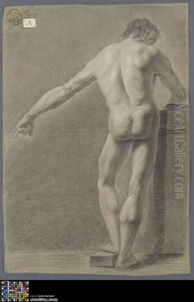 standing male nude, seen from behind - view 1