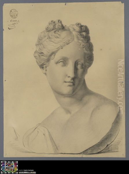 bust of Venus - view 1