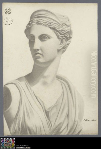 bust of Diana - view 1