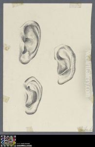 three ears