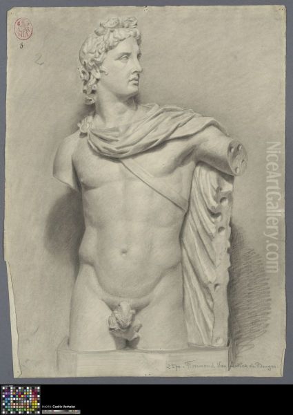 torso of Apollo Belvedere - view 1