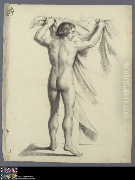 standing male nude, seen from behind - view 1
