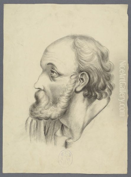 head of a bearded man - view 1