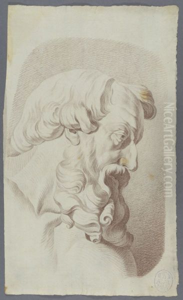 head of a bearded man - view 1