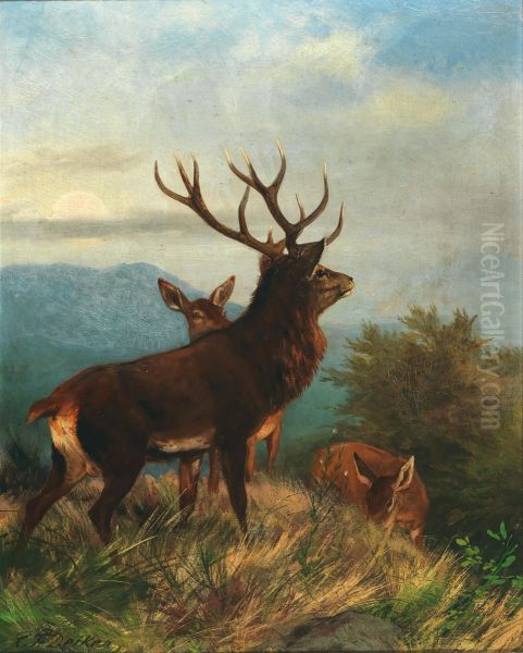 Hirsch mit seinem Rudel - view 1
