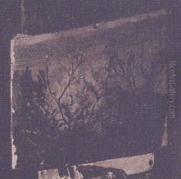 Bushes - view 1