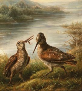 Two snipes on the river bank by Carl Friedrich Deiker