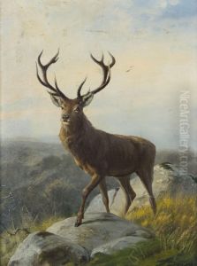 Hirsch Hirsch