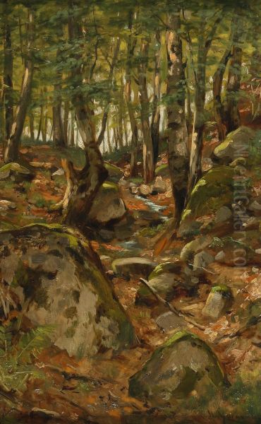Forest path - view 1