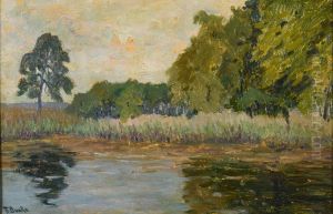 Trees on the bank Trees on the bank