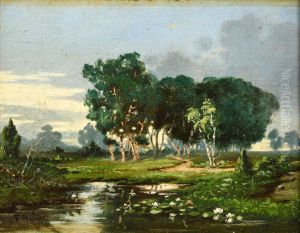 Pond landscape Pond landscape
