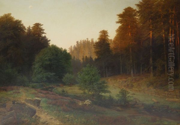 Evening Sun - view 1