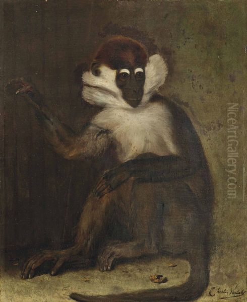 A macaque - view 1