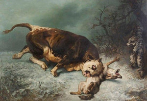 Bull attacked by wolves Bull attacked by wolves