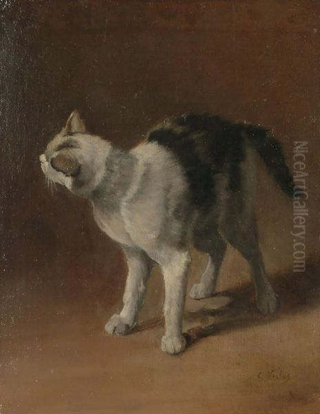 Study of a black and white cat - view 1