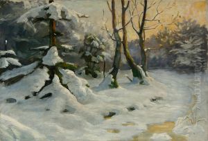 A winter forest scenery. A winter forest scenery.