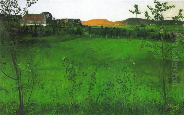 Modne jorder - view 1