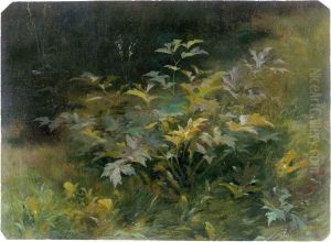 Blattpflanzen im sommerlichen Friedrichsgrund bei Pillnitz by Eduard Leonhardi
