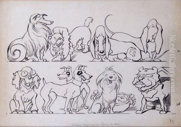 Chiens. - view 1