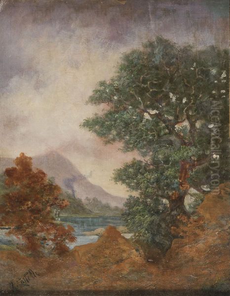 Landscape - view 1