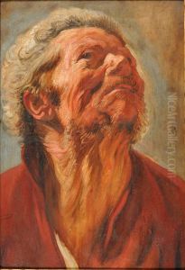 Study of the head of an old man (Abraham Grapheus) by Jacob Jordaens