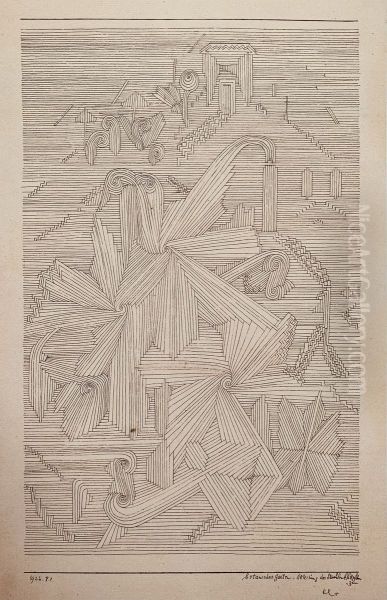 Botanical garden, section with the ray-leaved plants - view 1