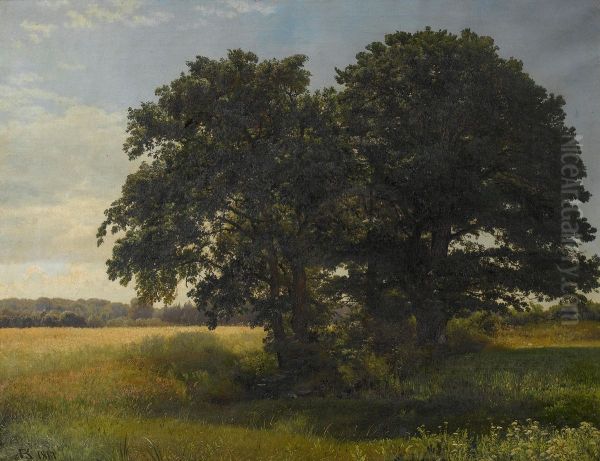 The old oak, West Belmont - view 1