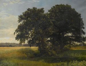 The old oak, West Belmont