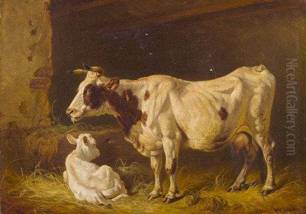 Cow with calf in stall - view 1