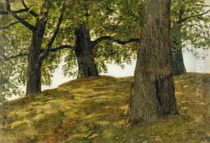 Chestnut grove in morning light