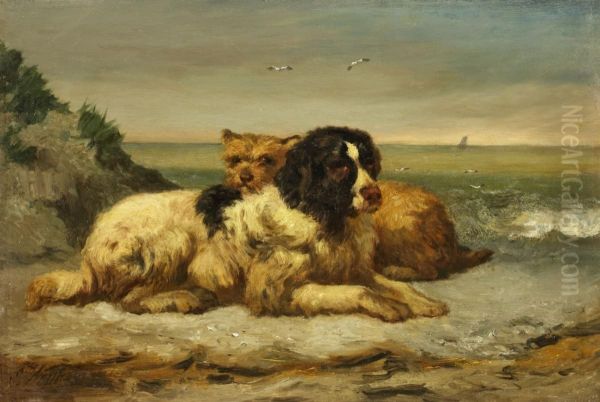 Two dogs at the coast - view 1