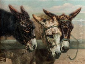Donkeys at the fence by Piet Van Engelen
