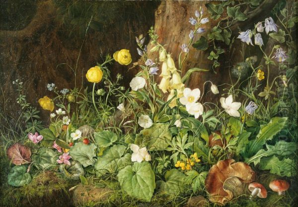 Wildblumen und Pilze - view 1