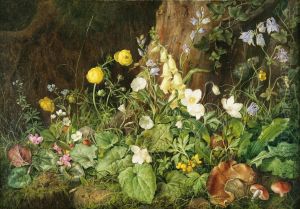 Wildblumen und Pilze