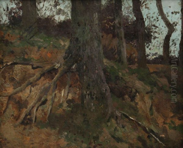 Tree trunks - view 1