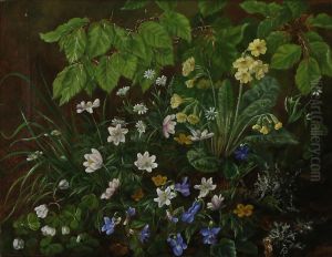 Blomster i en skovbund.