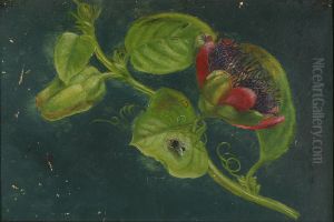 Blomstergren med flue pa blad. by Alfrida Baadsgaard