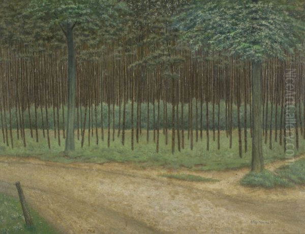 Forest Trail - view 1